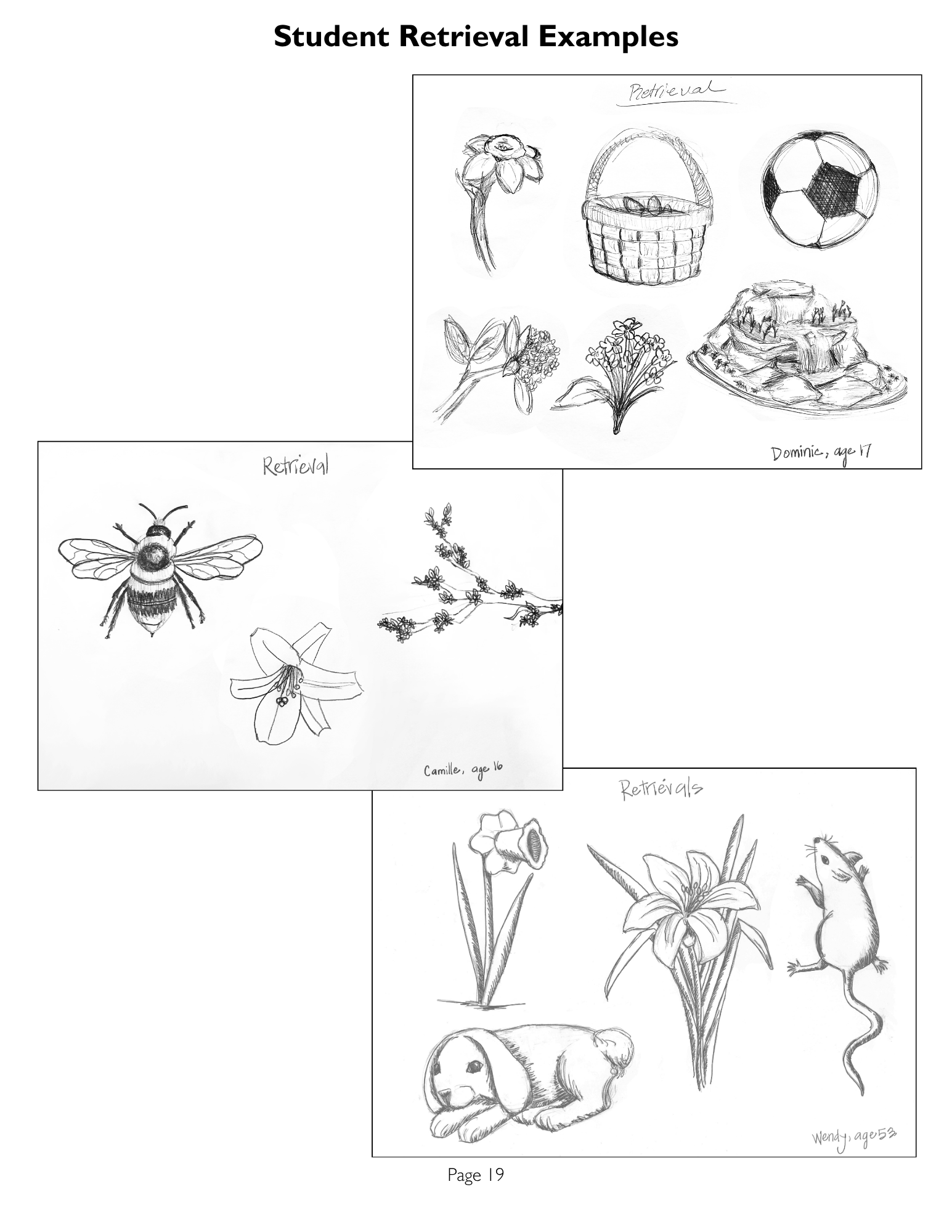 Advanced Seasonal preview page 2